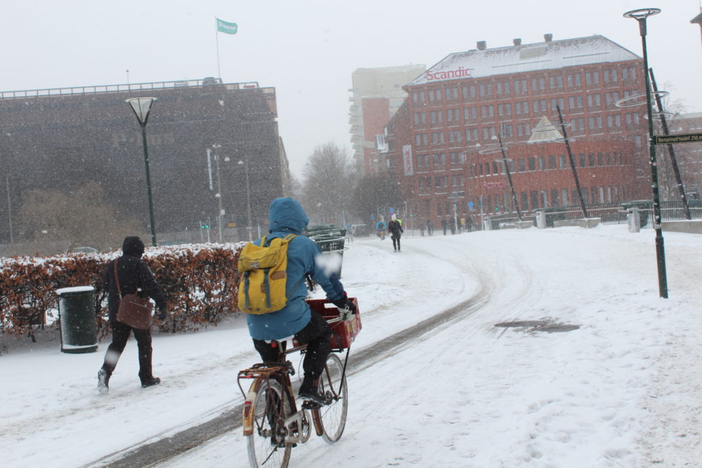 Maybe other people have this snow biking thing down.