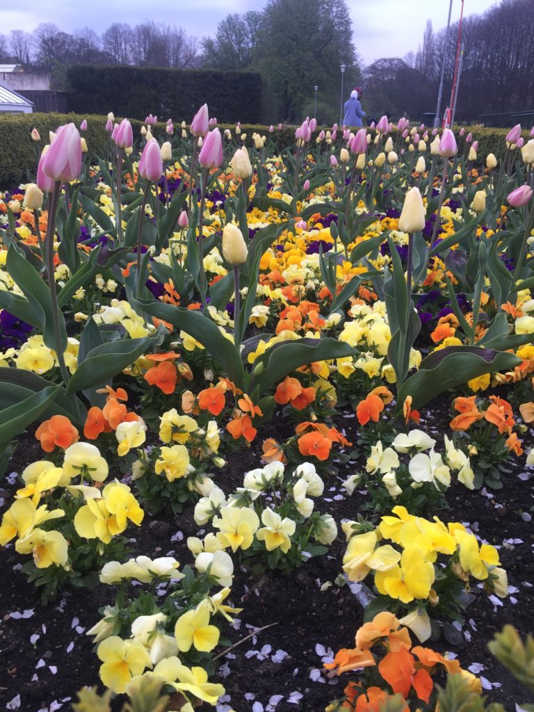 The garden at slottsparken in the last week of April, just before the heat of May arrived.